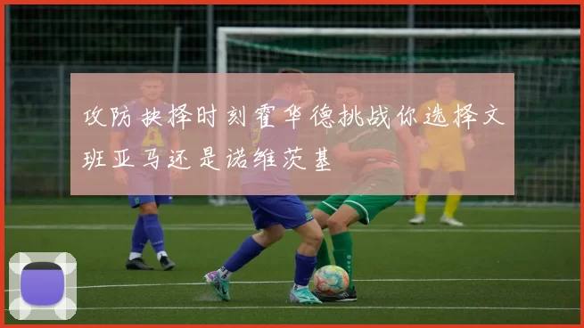 攻防抉择时刻霍华德挑战你选择文班亚马还是诺维茨基