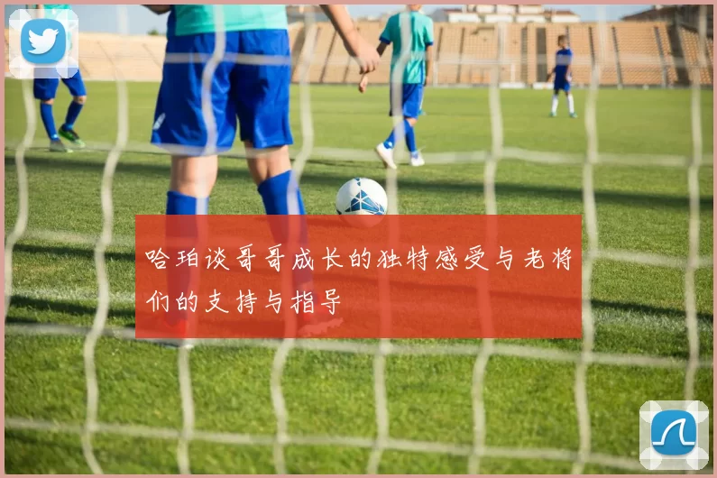 哈珀谈哥哥成长的独特感受与老将们的支持与指导